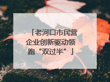 老河口市民营企业创新驱动领跑“双过半”