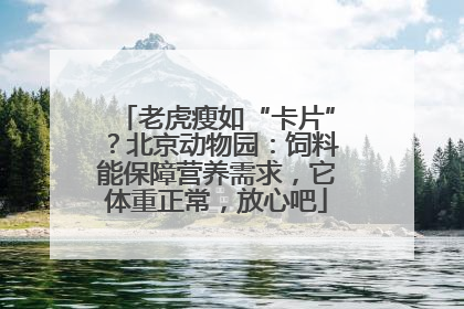 老虎瘦如“卡片”？北京动物园：饲料能保障营养需求，它体重正常，放心吧