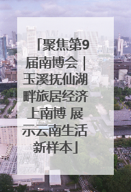 聚焦第9届南博会｜玉溪抚仙湖畔旅居经济上南博 展示云南生活新样本