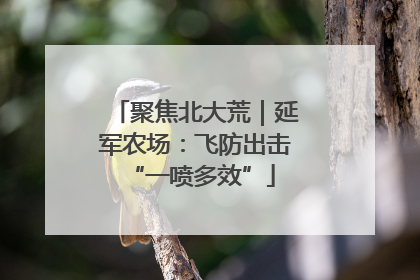 聚焦北大荒｜延军农场：飞防出击 “一喷多效”