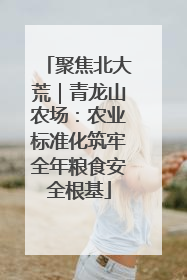 聚焦北大荒｜青龙山农场：农业标准化筑牢全年粮食安全根基