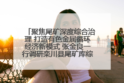 聚焦尾矿深度综合治理 打造有色金属循环经济新模式 张金良一行调研栾川县尾矿库综合治理工作