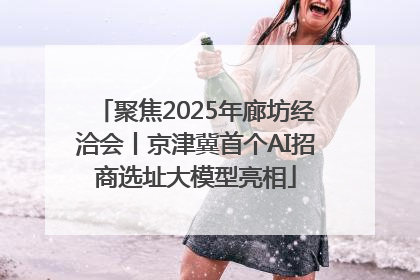 聚焦2025年廊坊经洽会丨京津冀首个AI招商选址大模型亮相