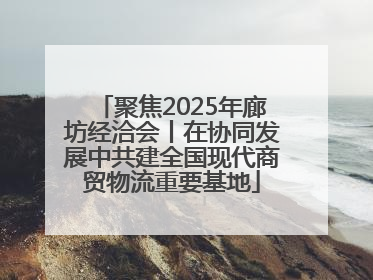 聚焦2025年廊坊经洽会丨在协同发展中共建全国现代商贸物流重要基地