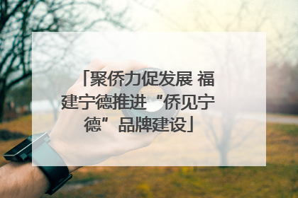 聚侨力促发展 福建宁德推进“侨见宁德”品牌建设