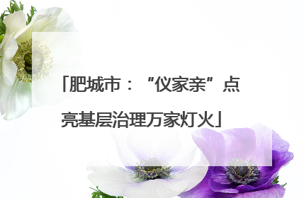 肥城市：“仪家亲”点亮基层治理万家灯火