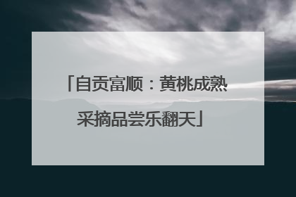 自贡富顺：黄桃成熟 采摘品尝乐翻天