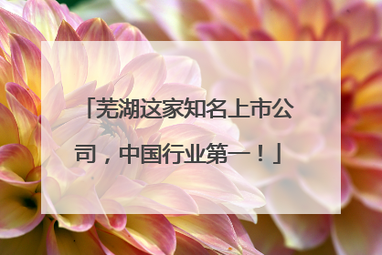 芜湖这家知名上市公司，中国行业第一！