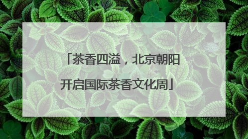 茶香四溢，北京朝阳开启国际茶香文化周