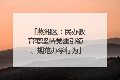 蒸湘区：民办教育要坚持党建引领、规范办学行为