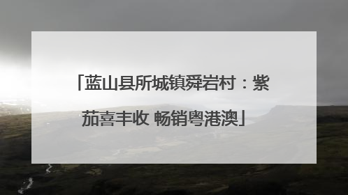 蓝山县所城镇舜岩村：紫茄喜丰收 畅销粤港澳