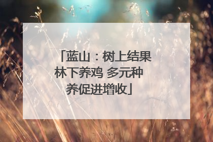 蓝山：树上结果林下养鸡 多元种养促进增收