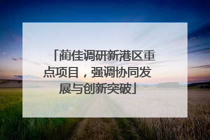 蔺佳调研新港区重点项目，强调协同发展与创新突破