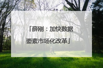 薛刚：加快数据要素市场化改革