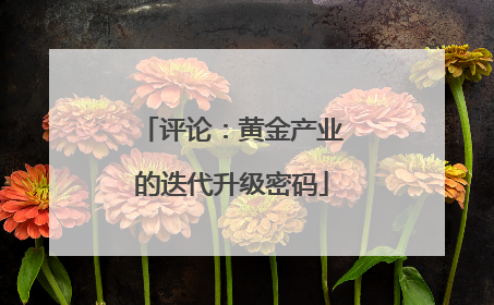 评论：黄金产业的迭代升级密码