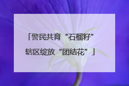 警民共育“石榴籽” 辖区绽放“团结花”