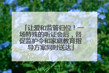 让爱和监管归位！一场特殊的听证会后，督促监护令和家庭教育指导方案同时送达