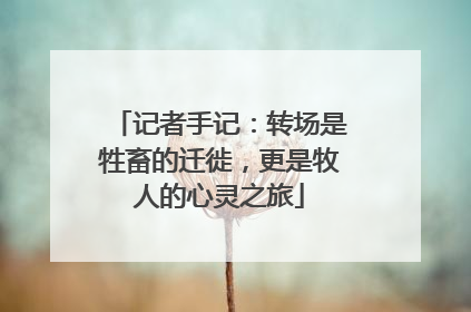 记者手记：转场是牲畜的迁徙，更是牧人的心灵之旅