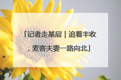 记者走基层｜追着丰收，麦客夫妻一路向北