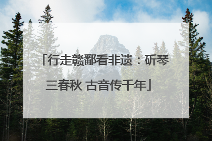 行走赣鄱看非遗：斫琴三春秋 古音传千年