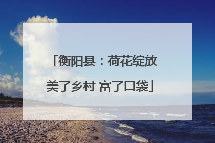 衡阳县：荷花绽放 美了乡村 富了口袋