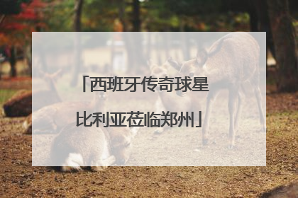 西班牙传奇球星 比利亚莅临郑州