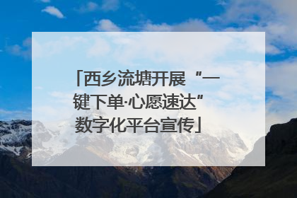 西乡流塘开展“一键下单·心愿速达”数字化平台宣传