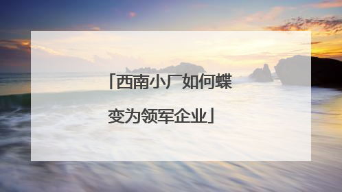 西南小厂如何蝶变为领军企业