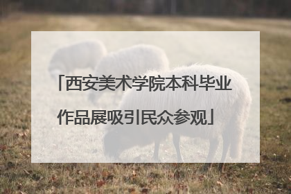 西安美术学院本科毕业作品展吸引民众参观