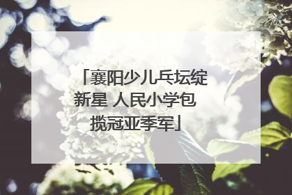 襄阳少儿乓坛绽新星 人民小学包揽冠亚季军