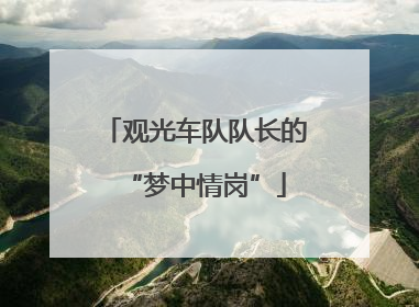 观光车队队长的“梦中情岗”