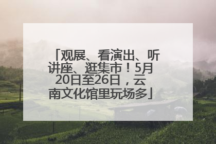 观展、看演出、听讲座、逛集市！5月20日至26日，云南文化馆里玩场多