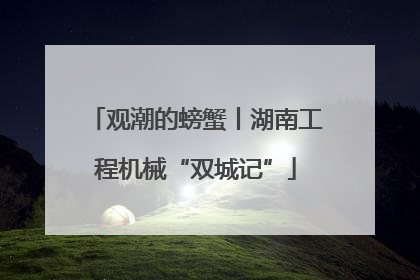 观潮的螃蟹丨湖南工程机械“双城记”