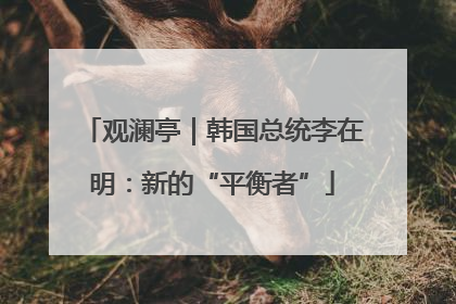 观澜亭｜韩国总统李在明：新的“平衡者”