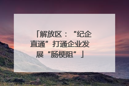解放区：“纪企直通”打通企业发展“肠梗阻”