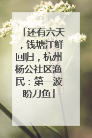 还有六天，钱塘江鲜回归，杭州杨公社区渔民：第一波盼刀鱼