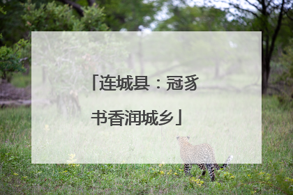 连城县：冠豸书香润城乡