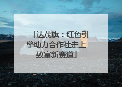 达茂旗：红色引擎助力合作社走上致富新赛道