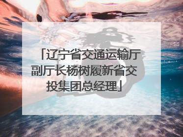 辽宁省交通运输厅副厅长杨树履新省交投集团总经理