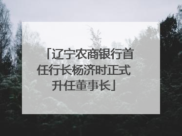 辽宁农商银行首任行长杨济时正式升任董事长