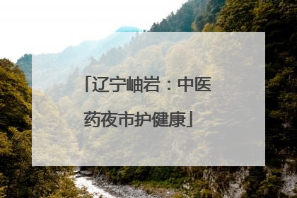 辽宁岫岩：中医药夜市护健康