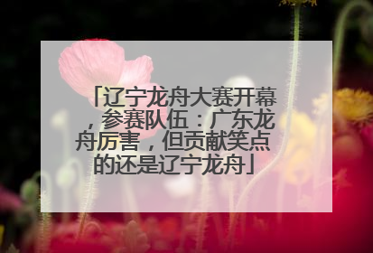 辽宁龙舟大赛开幕，参赛队伍：广东龙舟厉害，但贡献笑点的还是辽宁龙舟