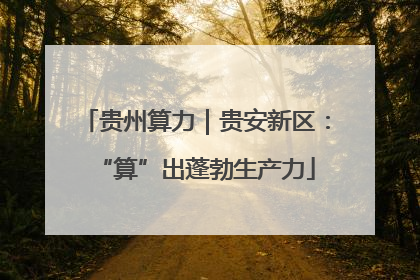 贵州算力｜贵安新区：“算”出蓬勃生产力