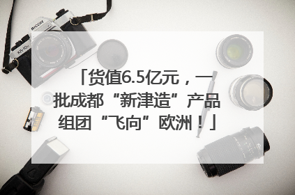 货值6.5亿元，一批成都“新津造”产品组团“飞向”欧洲！