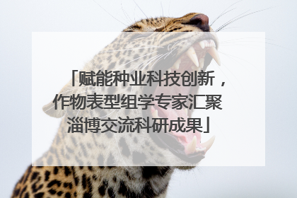 赋能种业科技创新，作物表型组学专家汇聚淄博交流科研成果