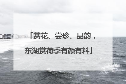 赏花、尝珍、品韵，东湖赏荷季有颜有料