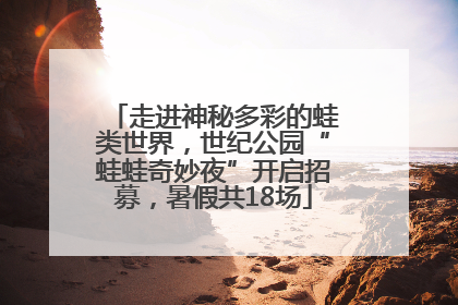 走进神秘多彩的蛙类世界，世纪公园“蛙蛙奇妙夜”开启招募，暑假共18场
