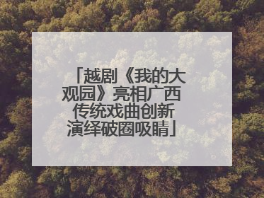 越剧《我的大观园》亮相广西 传统戏曲创新演绎破圈吸睛