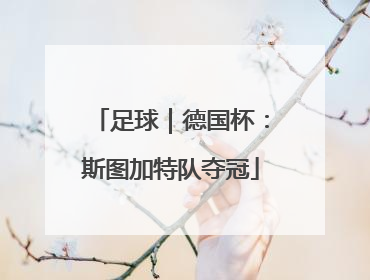 足球｜德国杯：斯图加特队夺冠