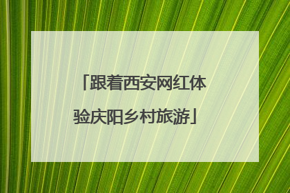 跟着西安网红体验庆阳乡村旅游